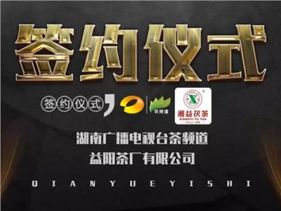 湘益茯，美茗揚 丨湘益茯茶與茶頻道達成長(cháng)期戰略合作