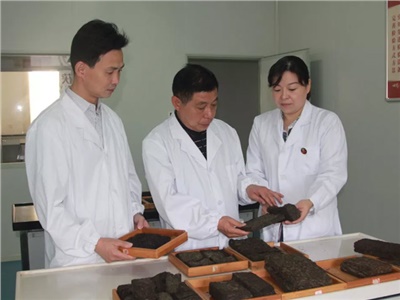 傳承茯茶非遺技藝、開(kāi)拓創(chuàng  )新引領(lǐng)行業(yè)發(fā)展