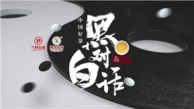 首屆黑白對話(huà)高峰論壇圓滿(mǎn)落幕！湘益茯茶備受關(guān)注！