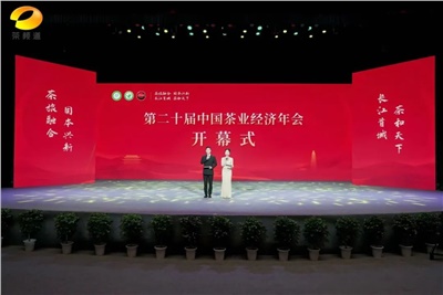 【聚焦第二十屆中國茶業(yè)經(jīng)濟年會(huì )】益陽(yáng)茶廠(chǎng)榮獲“民族團結互助企業(yè)”、“2024年度茶業(yè)重點(diǎn)企業(yè)”榮譽(yù)稱(chēng)號